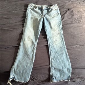 American Eagle Classic Blue Women's Jeans size 12